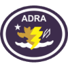 Distintivo da especialidade Resposta a Emergências e Desastres - avançado