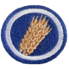 Distintivo da especialidade Parábolas de Jesus
