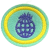 Distintivo da especialidade Milênio e Fim do Pecado