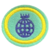 Distintivo da especialidade Nova Terra