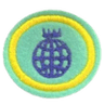 Distintivo da especialidade Nova Terra