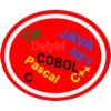 Distintivo da especialidade Informática Programável