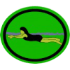 Distintivo da especialidade Natação Principiante I