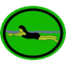 Distintivo da especialidade Natação Principiante I