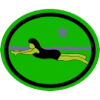 Distintivo da especialidade Natação Principiante II