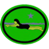 Distintivo da especialidade Natação Principiante II