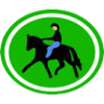 Distintivo da especialidade Equitação