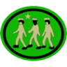 Distintivo da especialidade Ordem Unida - avançado