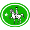 Distintivo da especialidade Equitação - avançado