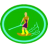 Distintivo da especialidade Wakeboard