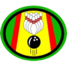Distintivo da especialidade Boliche