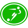 Distintivo da especialidade Futsal