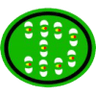 Distintivo da especialidade Evolução em Ordem Unida