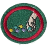 Distintivo da especialidade Bolinha de Gude