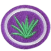 Distintivo da especialidade Plantas Medicinais