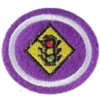 Distintivo da especialidade Trânsito Seguro