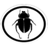 Distintivo da especialidade Insetos