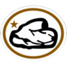Distintivo da especialidade Rochas e Minerais - avançado