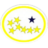 Distintivo da especialidade Astronomia - avançado