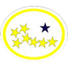 Distintivo da especialidade Astronomia - avançado