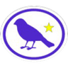 Distintivo da especialidade Aves - avançado