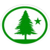 Distintivo da especialidade Árvores - avançado