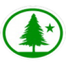 Distintivo da especialidade Árvores - avançado
