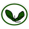 Distintivo da especialidade Sementes