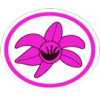Distintivo da especialidade Orquídeas