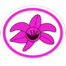 Distintivo da especialidade Orquídeas