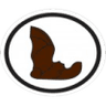 Distintivo da especialidade Morcegos