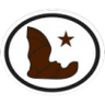 Distintivo da especialidade Morcegos - avançado