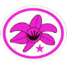 Distintivo da especialidade Orquídeas - avançado
