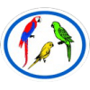 Distintivo da especialidade Araras, Papagaios e Periquitos