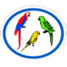 Distintivo da especialidade Araras, Papagaios e Periquitos