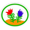 Distintivo da especialidade Briófitas