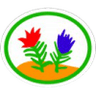 Distintivo da especialidade Briófitas