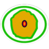 Distintivo da especialidade Citologia