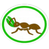 Distintivo da especialidade Formigas