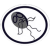 Distintivo da especialidade Protozoários