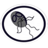 Distintivo da especialidade Protozoários