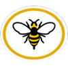 Distintivo da especialidade Abelhas e Vespas