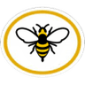 Distintivo da especialidade Abelhas e Vespas