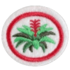 Distintivo da especialidade Bromélias