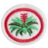 Distintivo da especialidade Bromélias