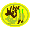 Distintivo da especialidade Comidas Típicas