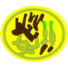 Distintivo da especialidade Comidas Típicas