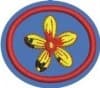 Distintivo da especialidade Fuxico