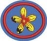 Distintivo da especialidade Fuxico